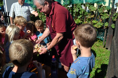 TRGATEV BRAJDE (1) (1)